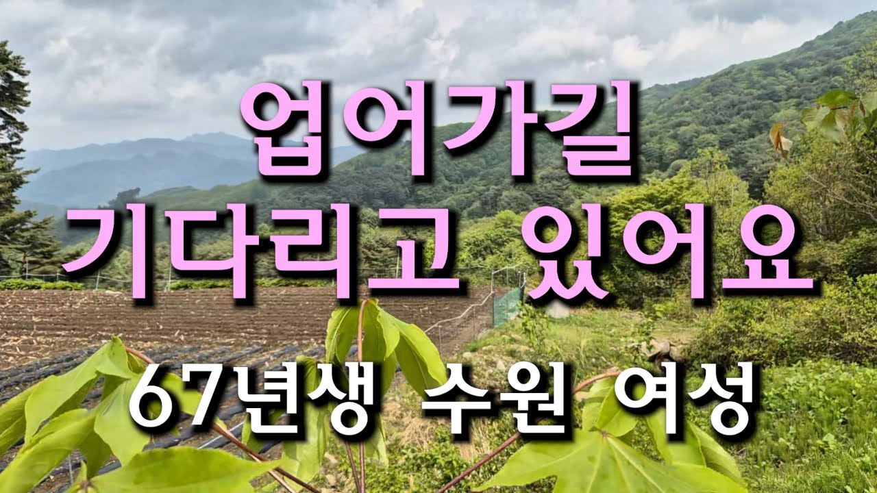 (189번) 업어가길 기다리고 있어요  67년생 수원 여성
