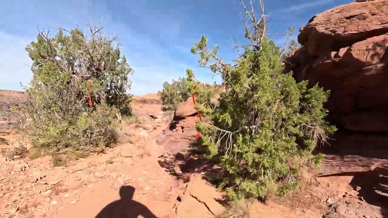 20251101V10 Captain Ahab, Cliffhanger, Jackson Loop Area