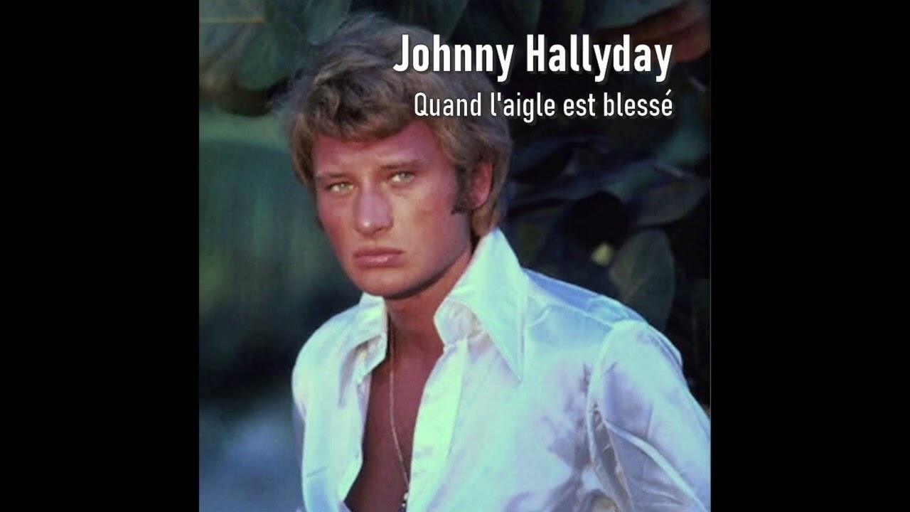 QUAND L'AIGLE EST BLESSE -  MIKE LEE  CHANTE JOHNNY -  MUSIKAMIKE