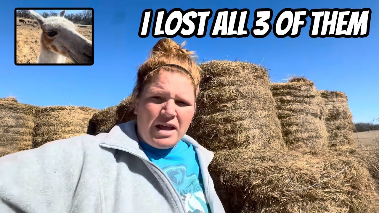 Wasn’t Sure If This Baby Was Going To Make It! 