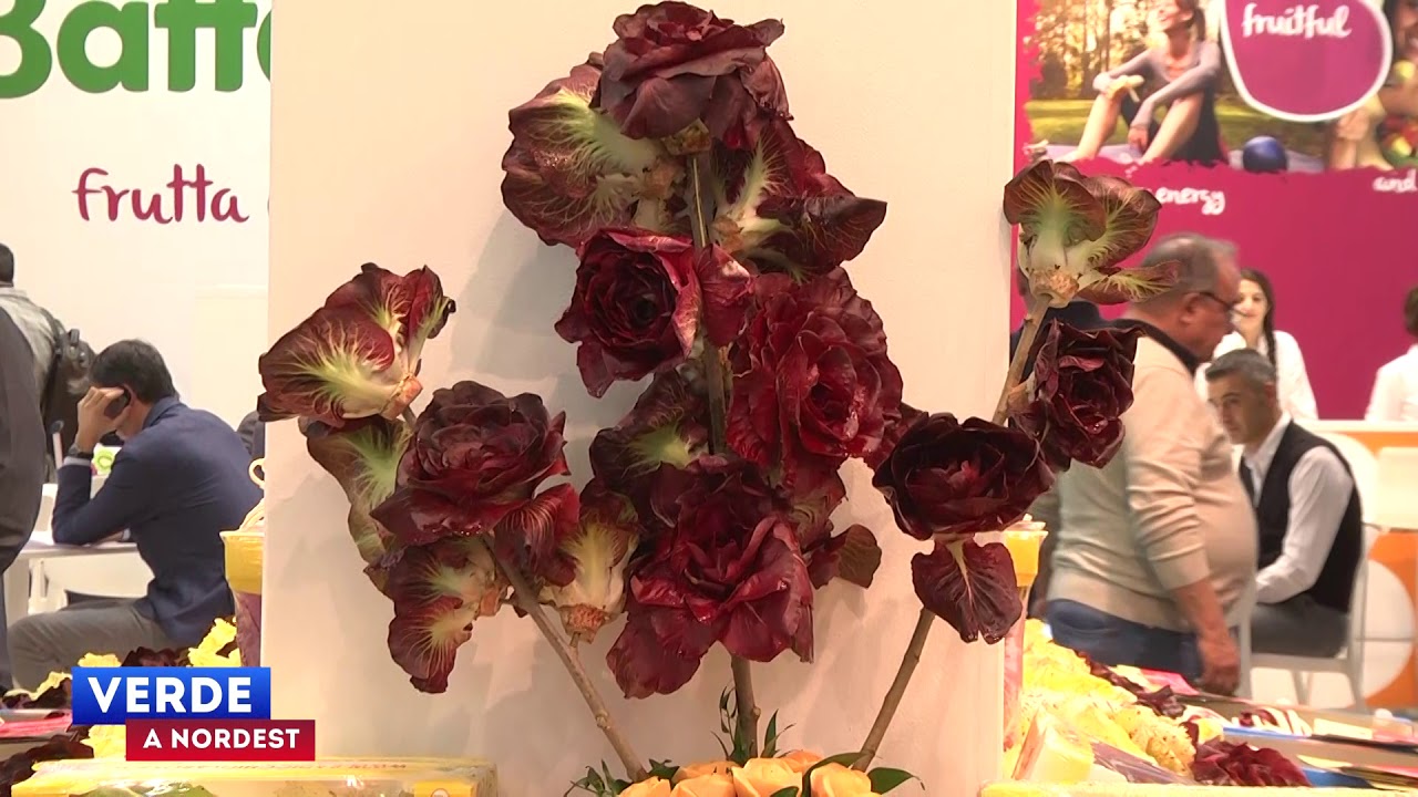 La Rosa di Padova a Fruit Logistica 2018