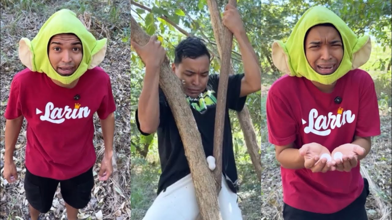 Las Nuevas Comedias Más Chistosas | Más De 1 Hora De Carcajas De Larin.Animalizes,Papotico Y Otros