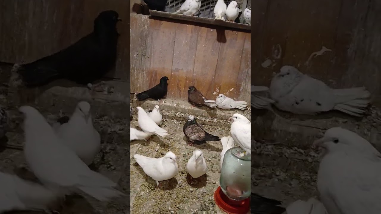 5 февраля 2026 г.