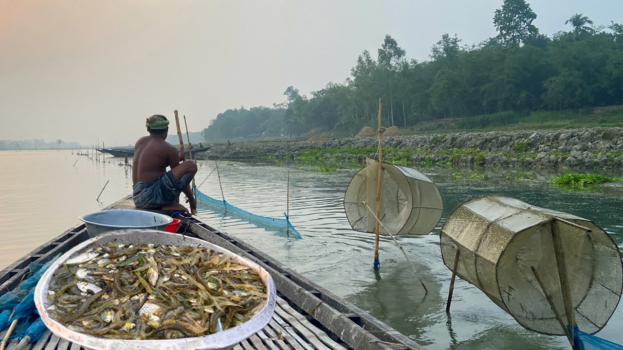 Tiny Fish and Shrimp Catching in the Beautiful Rivers of Bangladesh - Tiny Fish Trap in net Box