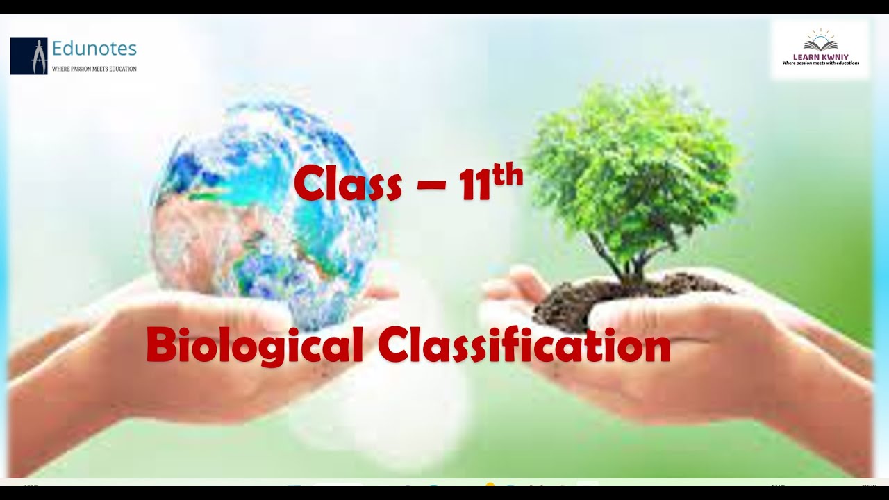 CLASS 11th CHAPTER 2nd BIOLOGICAL CLASSIFICATION/ MONERA BACTERIA   FUNGI PLANTAE ANIMALIA/