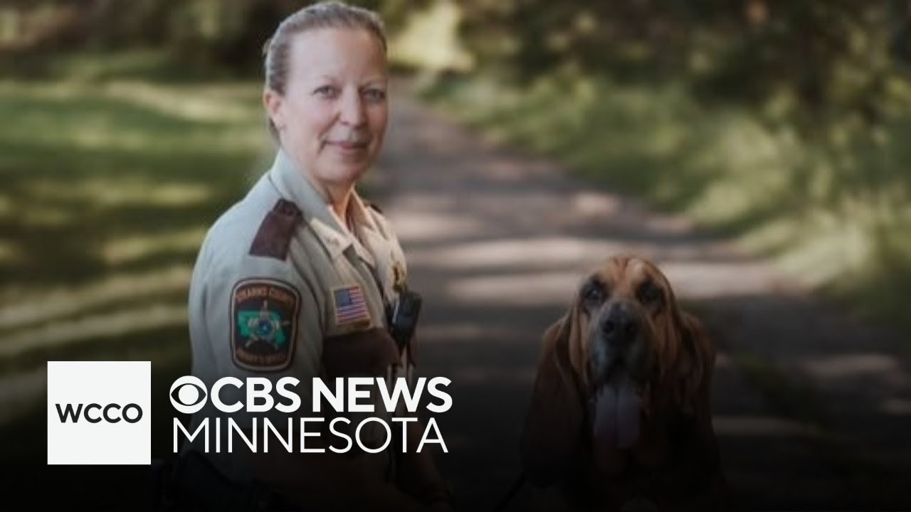 K-9 help find missing 75-year-old man stuck on river bank