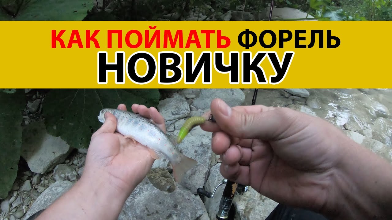 Как поймать форель новичку на силикон.  форелевая рыбалка