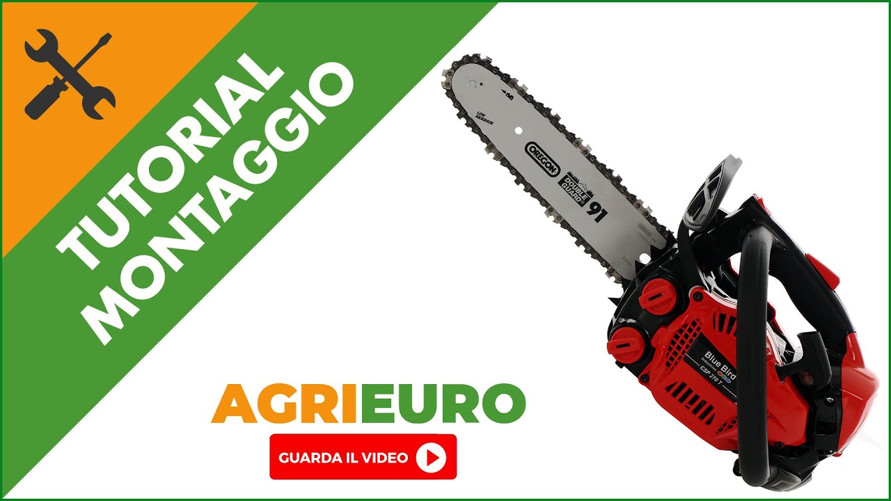Montaggio Motosega a scoppio da potatura leggera BLUE BIRD CSP 270 T