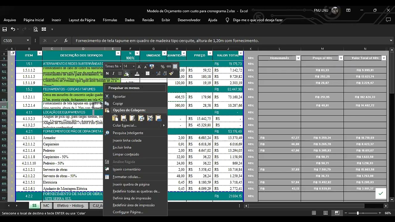 Cronograma colocando o custo do orçamento no Ms project