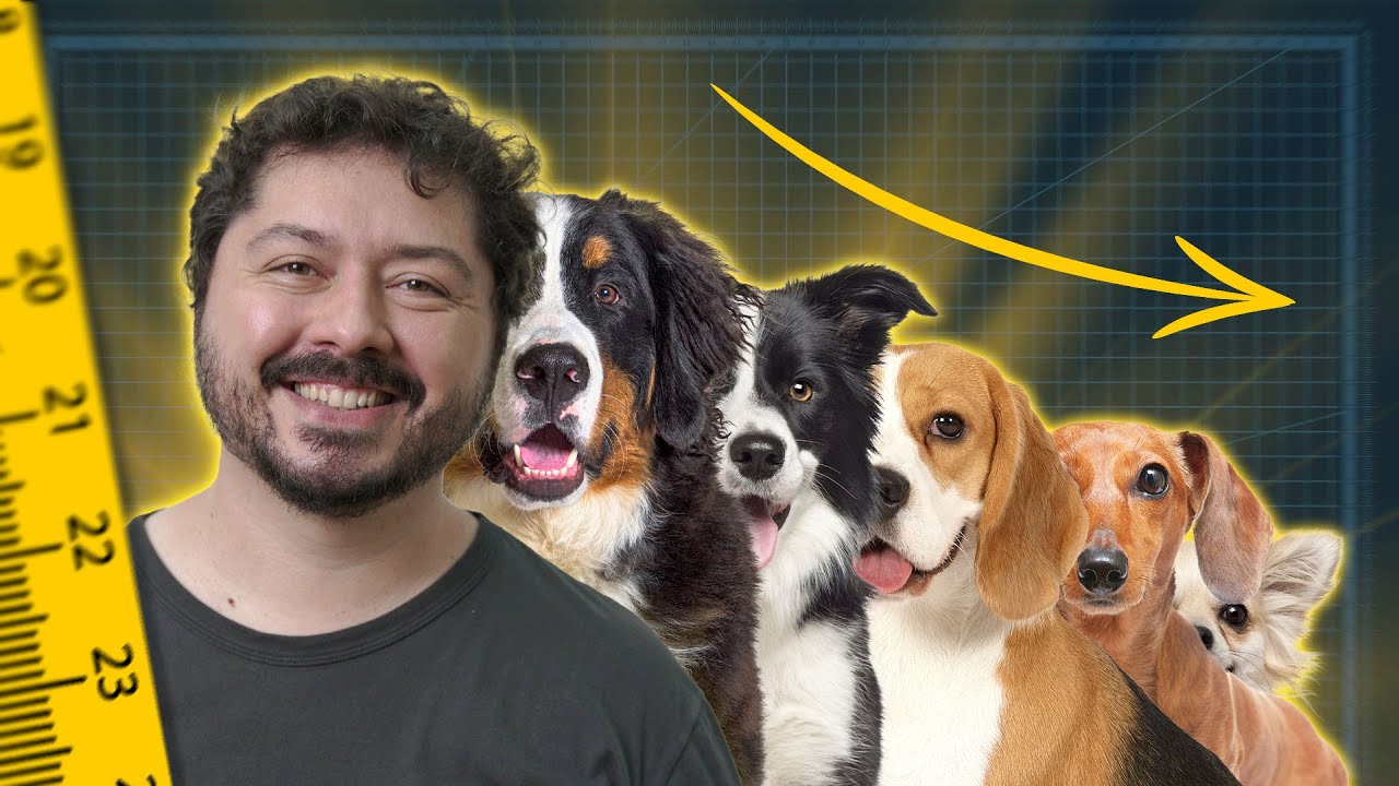 Por que os cachorros têm tamanhos diferentes?