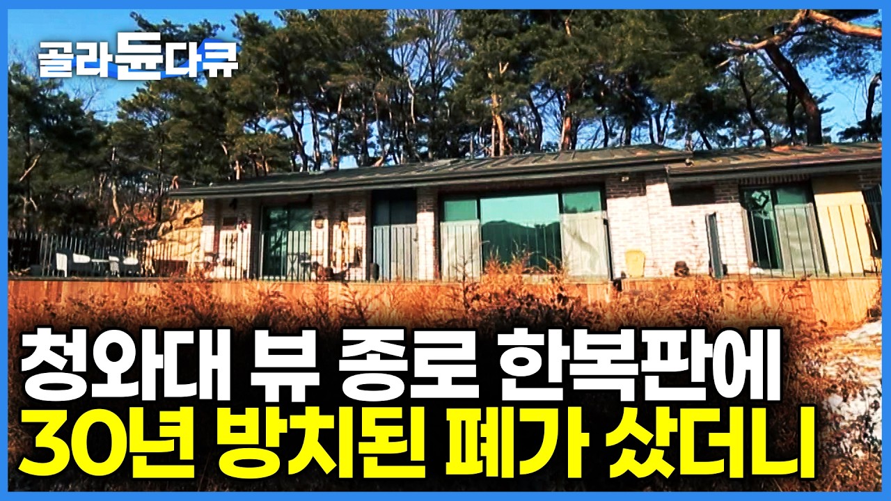 굳이 100년 된 구옥을 남겨두고 담장 하나만 없앴더니 청와대가 마당 안으로 들어왔다｜비우고 나서야 얻게 된 소나무 그늘의 비밀｜건축탐구 집｜#골라듄다큐