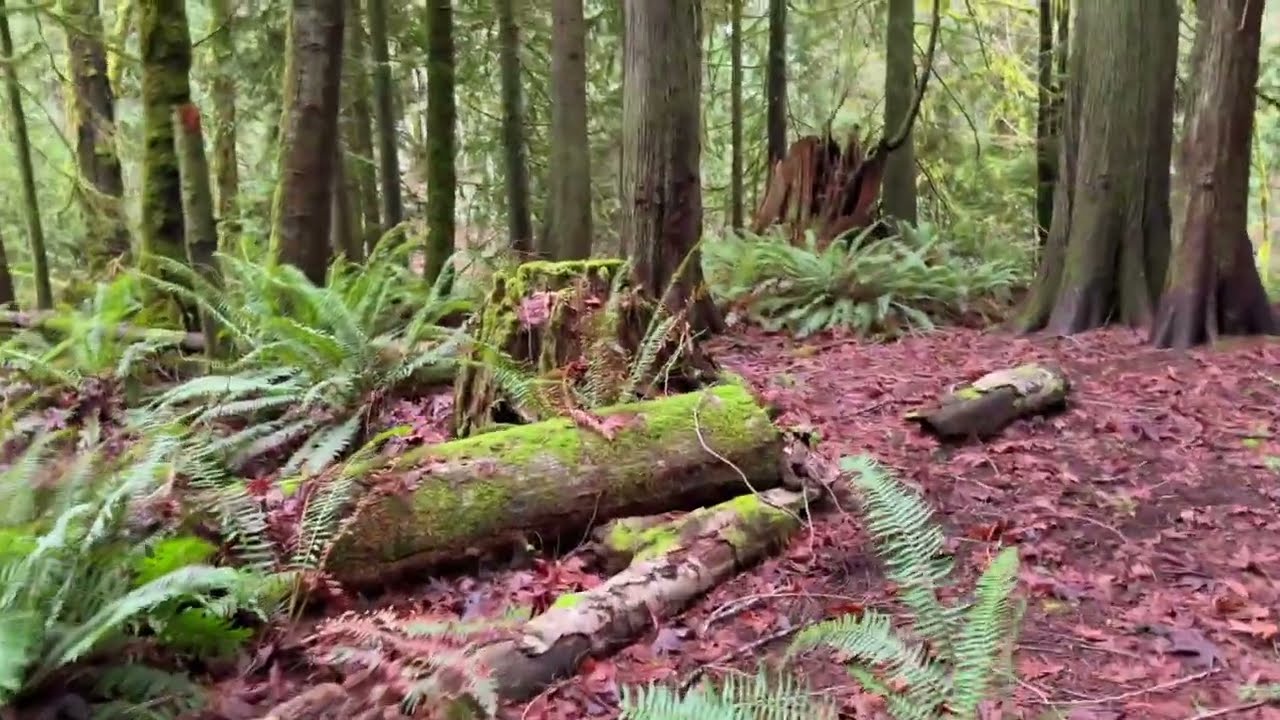 Secluded 3.55-Acre Lot In Bremerton WA