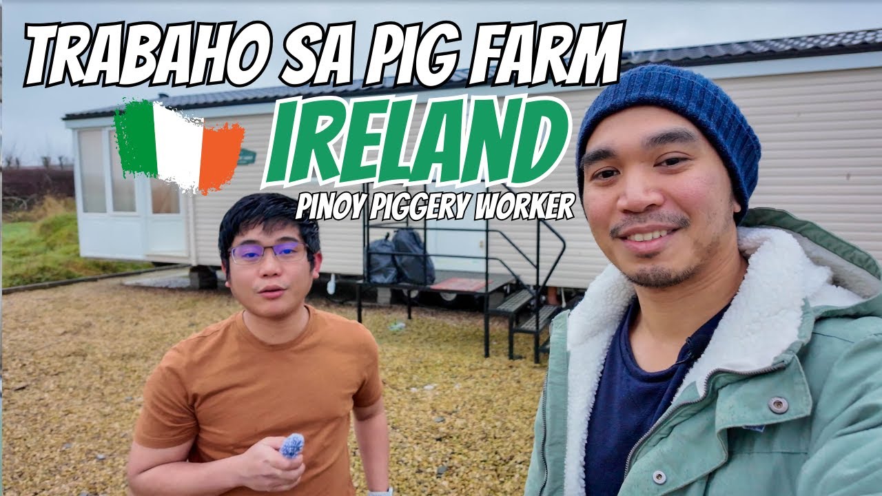 What it's like to work in a PIG FARM? | OFW DIARIES in IRELAND Ep 03