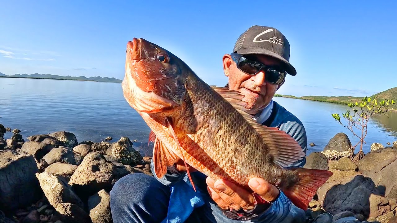 LA EMOCIONANTE PESCA DE ORILLA