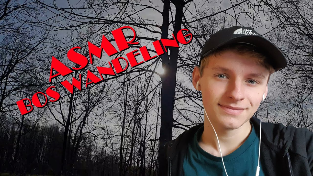 Wandeling In Het Bos - Fluisteren, Natuur - ASMR Nederlands