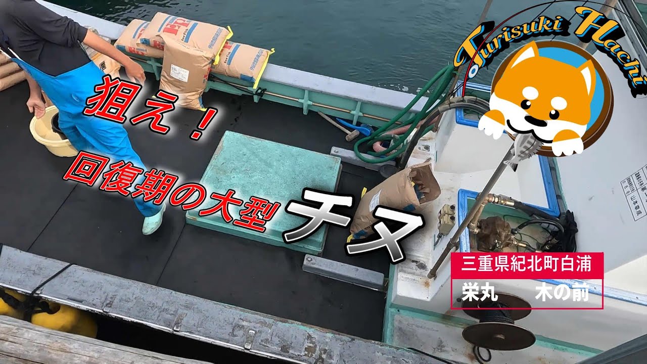 【かかり釣り】【筏チヌ】深場で回復期の大チヌ狙い！！