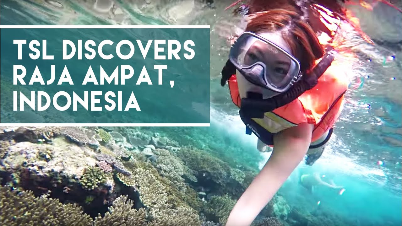 Raja Ampat - Indonesia's Secret Island Paradise - TSL Discovers Indonesia 2015: Episode 1