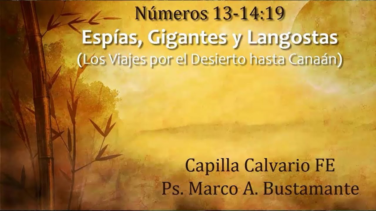 Números 13-14:19 - ESPÍAS, GIGANTES Y LANGOSTAS