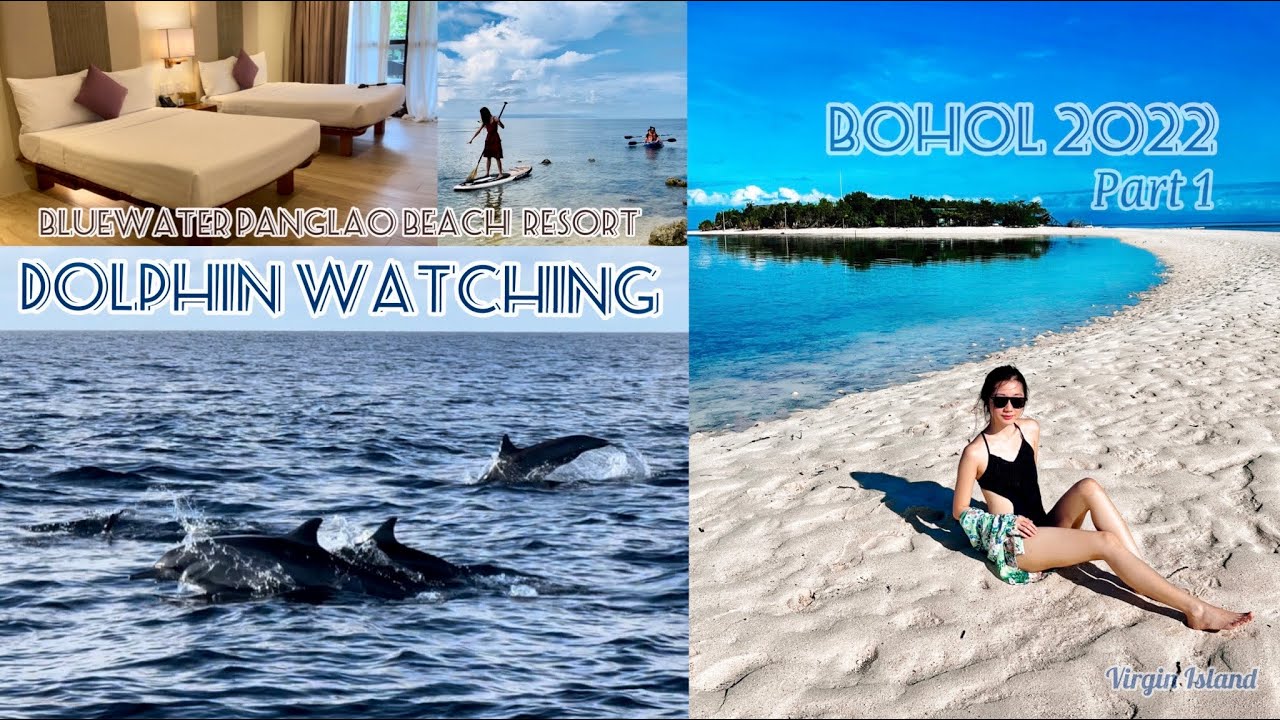 BLUEWATER PANGLAO BEACH RESORT ROOM TOUR + BEST ACTIVITY IN BOHOL DOLPHIN WATCHING + VIRGIN ISLAND