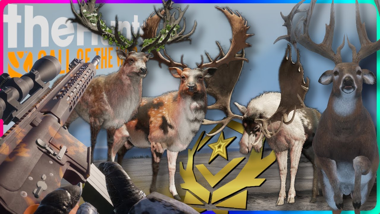 Mon TOP 10 des mes plus BEAUX GREAT ONE 2023 THE HUNTER CALL OF THE WILD