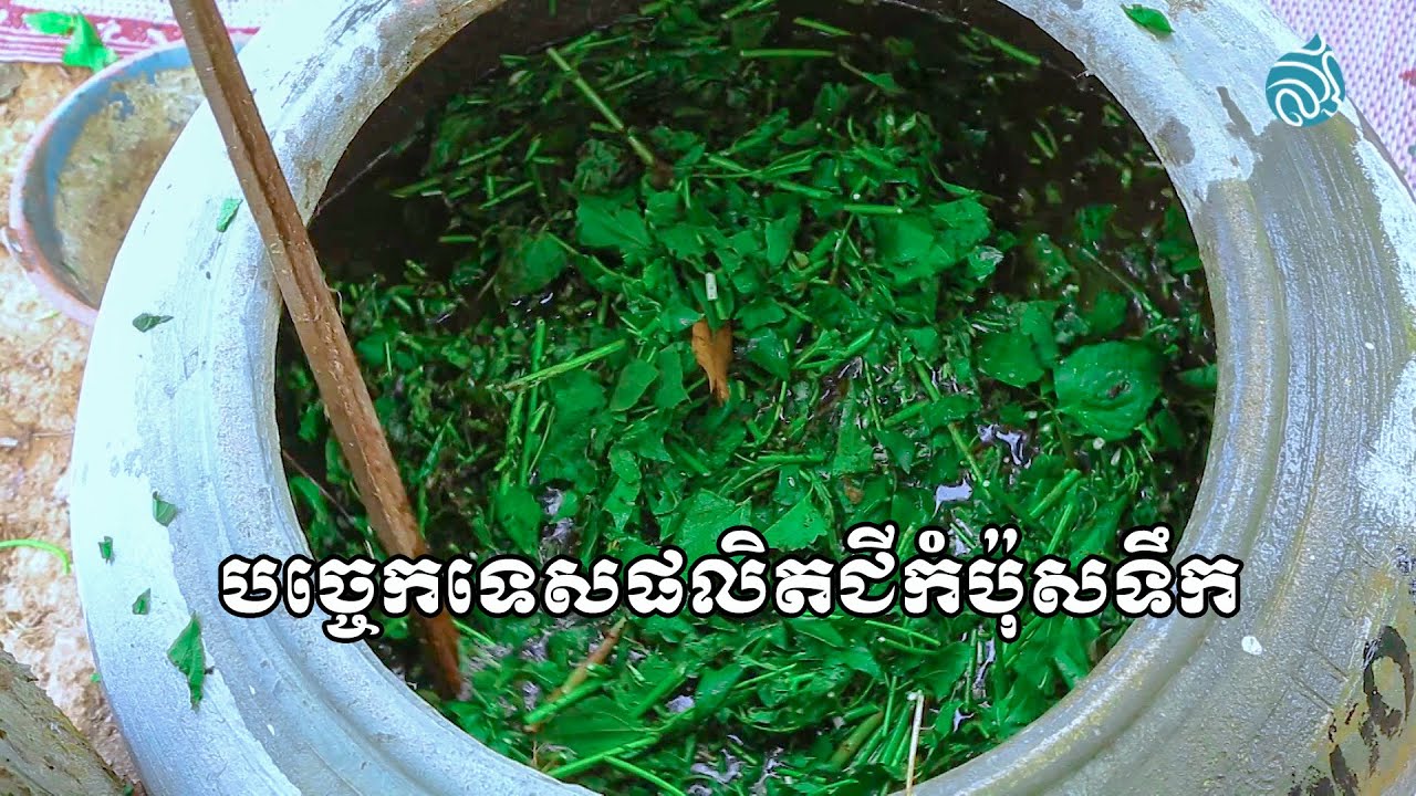 បច្ចេកទេសផលិតជីកំប៉ុសទឹក