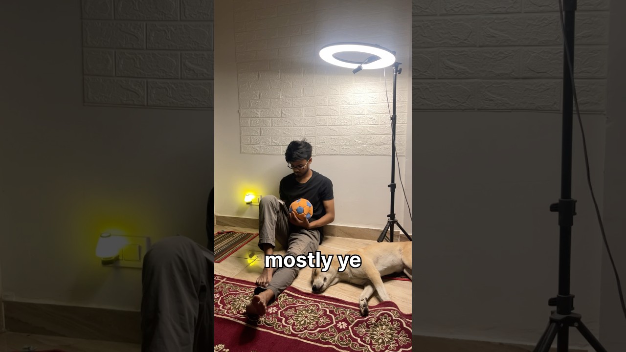 Living With A Stray Dog For 24 Hours