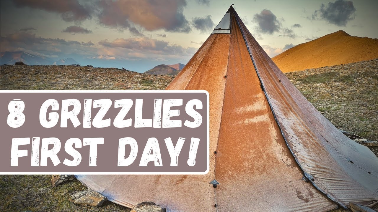 Bighorn Sheep Hunting - Grande Cache Alberta - Seek Outside Tipi + Grizzy Bears