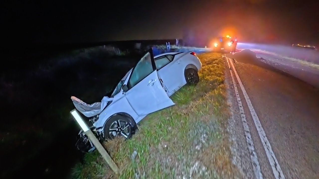Nissan Sentra vs Cow & Toyota Spins Into the Trees!