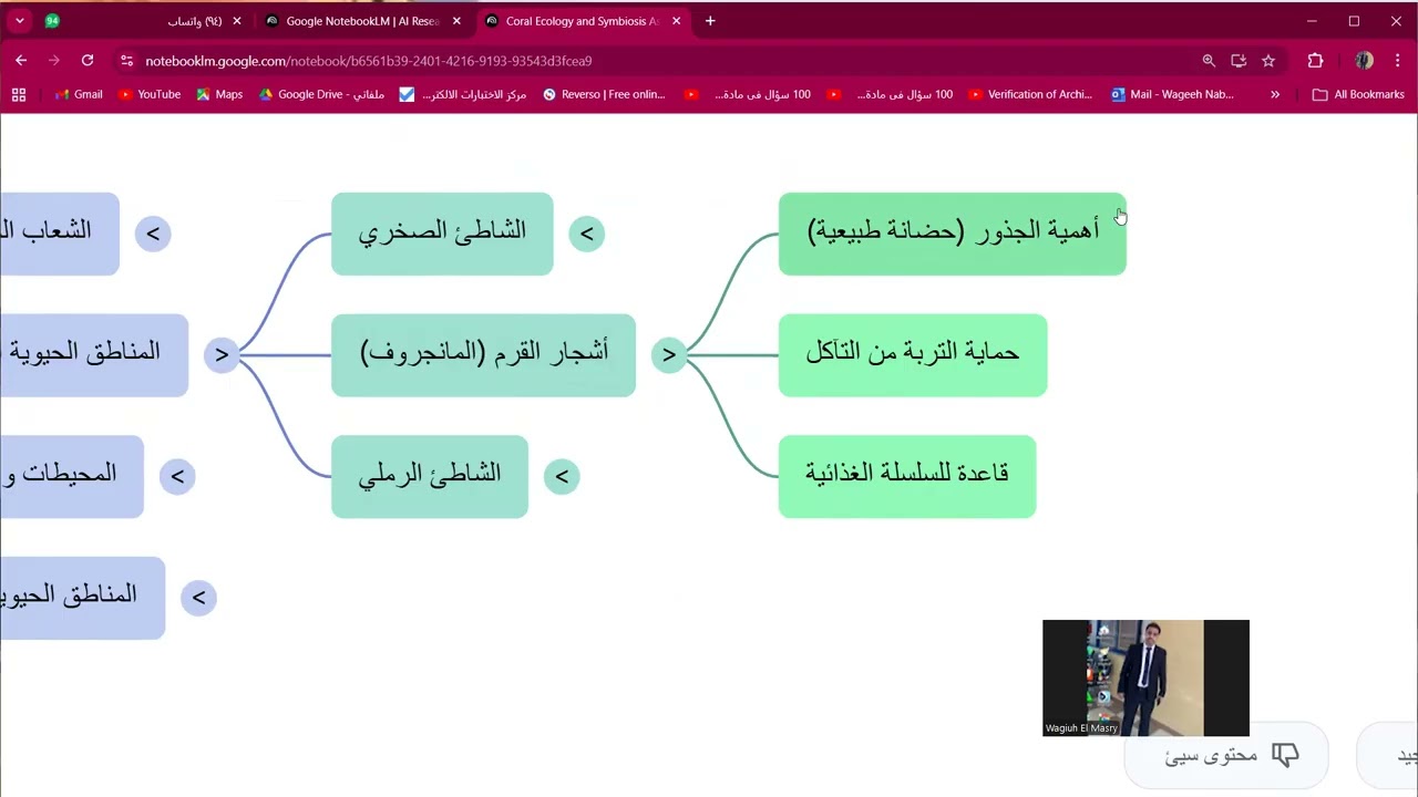 خرائط ذهنية الشاطئ الصخرى - الصف الثانى عشر
