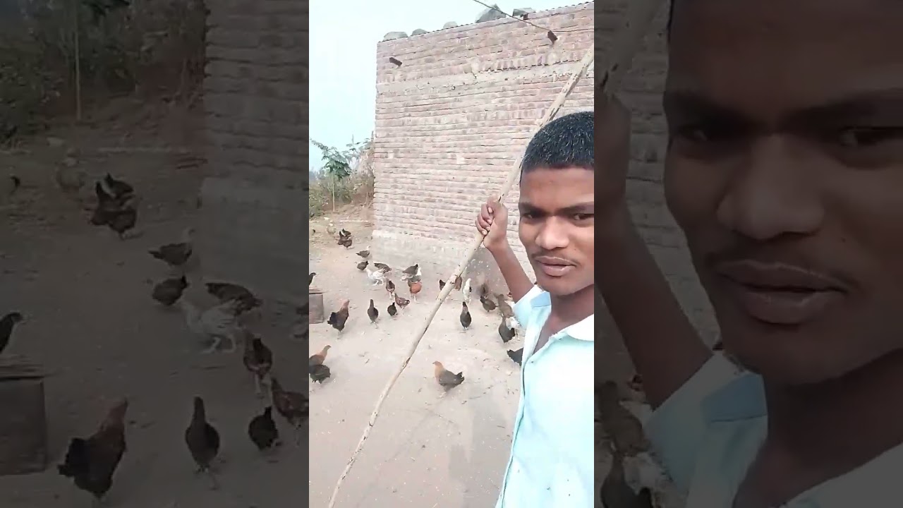 Village Life Reality 😲 | Hard Work Pays Off 💪 | Short Video