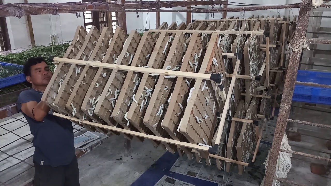 Hanging Rotary mountage Part-2( Sericulture Tripura)