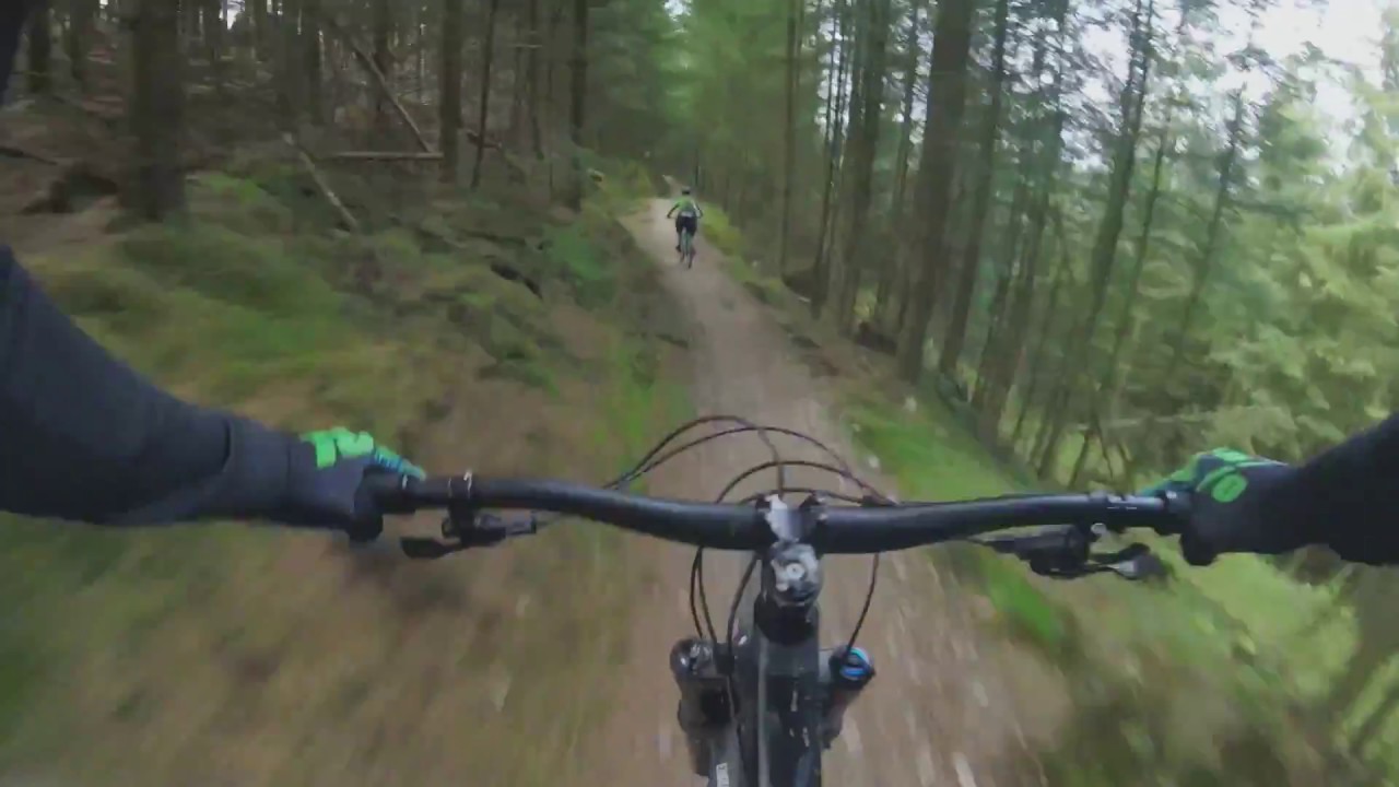 Coed Llandegla - Black trails