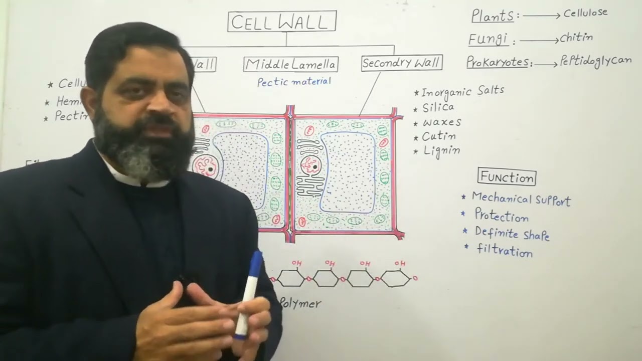 Cell wall Urdu medium @prof.masoodfuzail