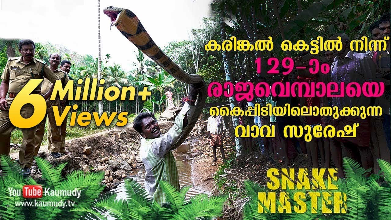 WOW! Vava Suresh rescues his 129th King Cobra from a stone quarry | Snakemaster | Latest Episode