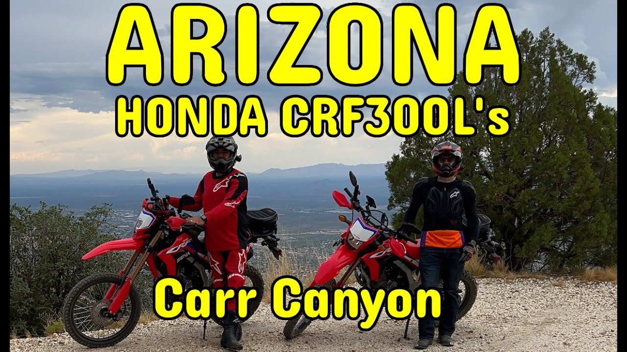 Honda CRF300Ls Carr Canyon Arizona Mountains Dual Sport Motorcycles #crf300l