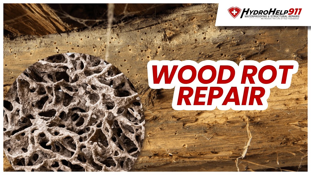 Crawlspace Wood Rot Repair Cost | How Much Does it Cost to Repair Rotted Wood in a Crawlspace?