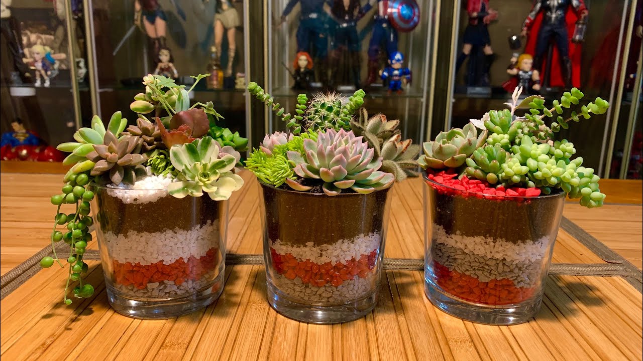 Succulent Candle Jars Arrangements