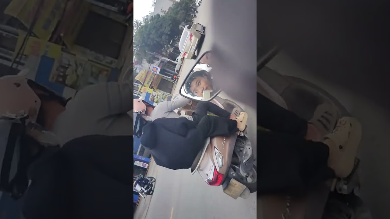 Nay tôi đi chơi với bố