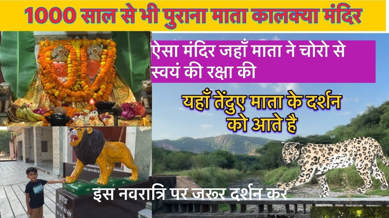 Ancient kali mata mandir 🛕 jaipur inside jhalana safari #jhalaanasafari #kalkyamataji