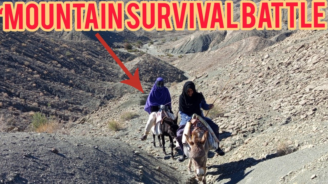 Mountain Survival of Nomads | نبرد برای زنده ماندن عشایر