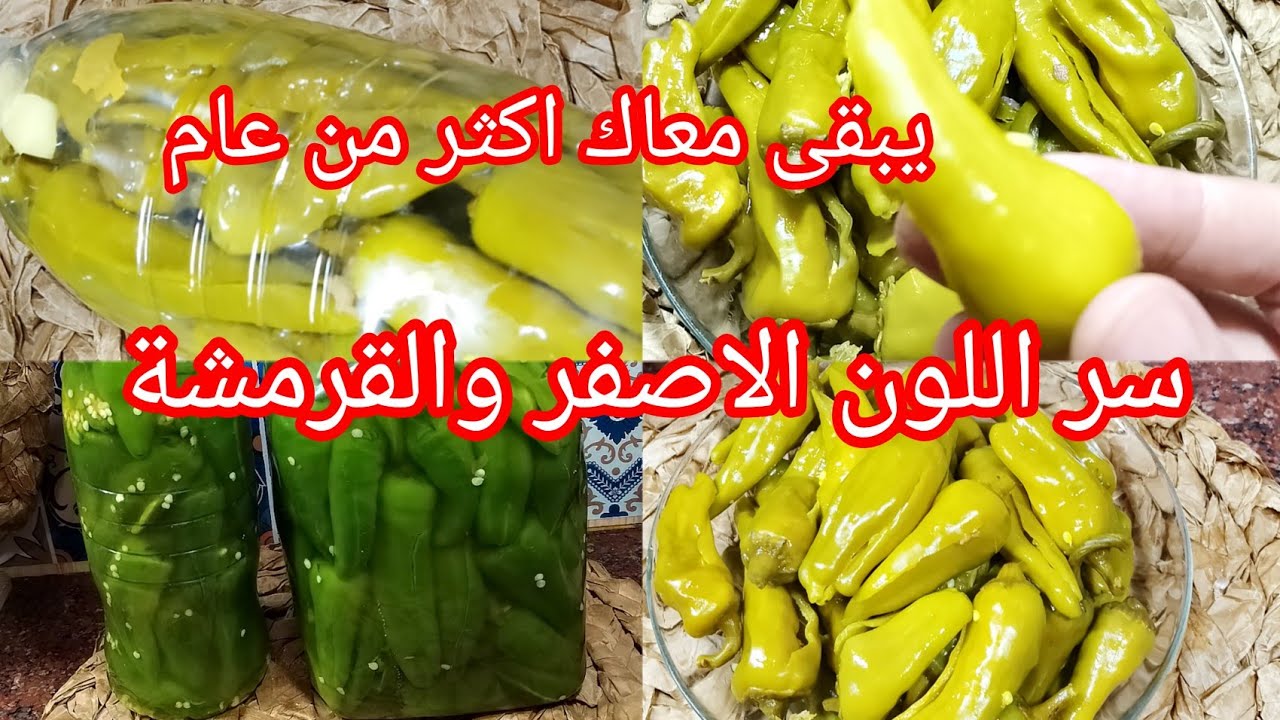 الطريقة الصحيحة لترقيد الفلفل الحار هاد الوصفة خبيها مليح في عينيك النصائح المهمة كامل هنا