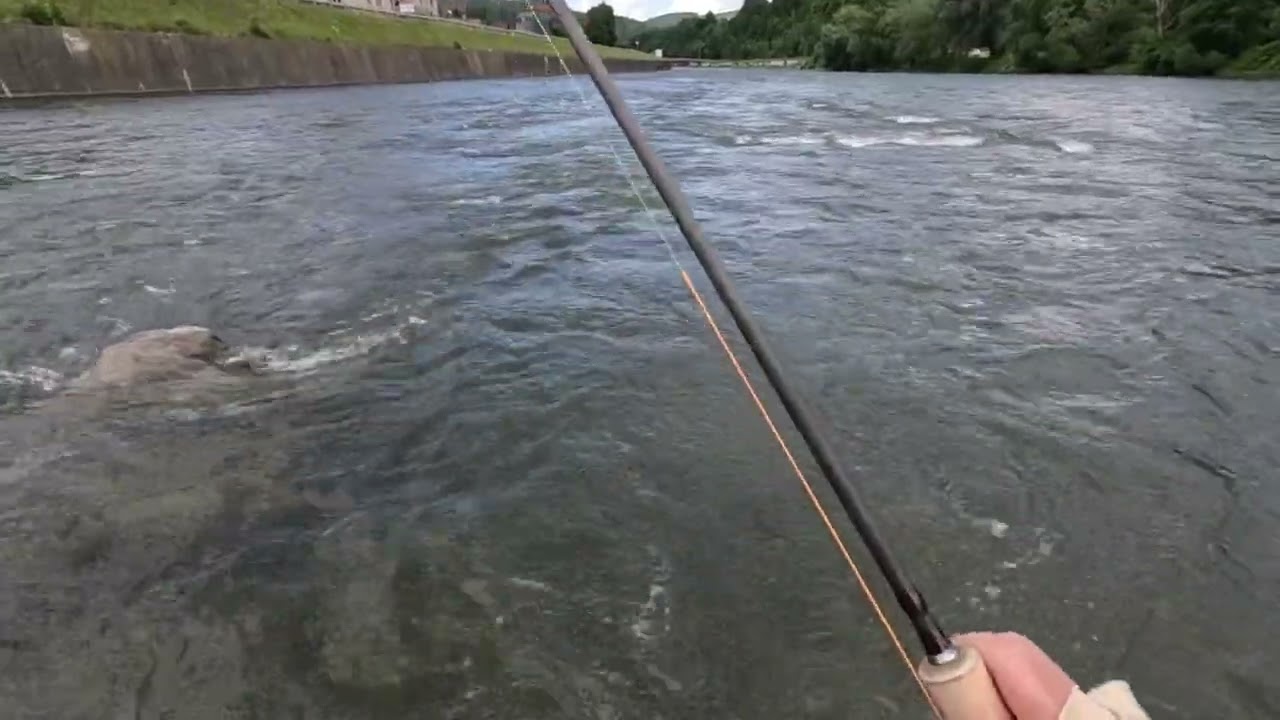 Fly Fishing the Dunajec River, Poland - Day 1, July 14, 2025