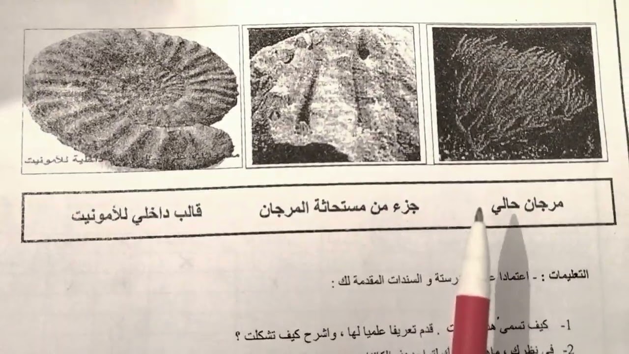 اختبار الفصل الثالث سنة ثانية متوسط مادة علوم الطبيعة والحياة #علوم #اختبار #متوسط #ثانية #فروض