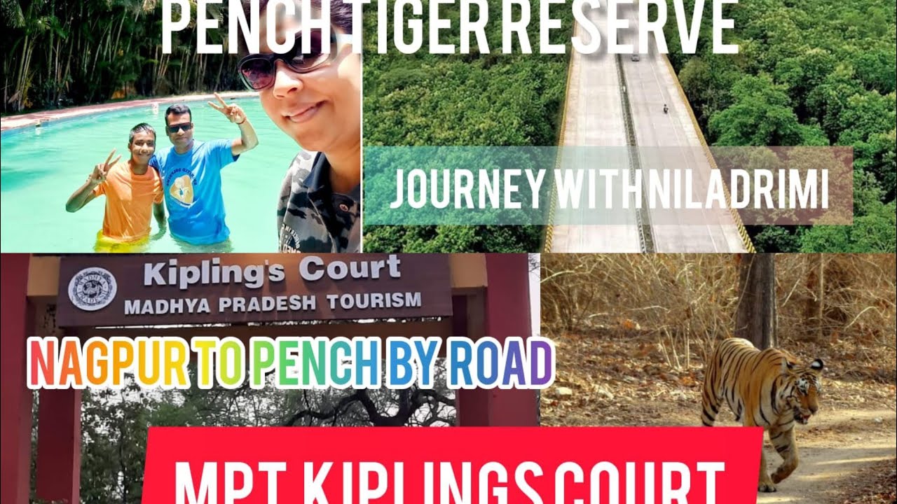 Kipling's Court Resort, MP tourism,  Nagpur to Pench By road. #pench  #penchtigerreserve #mptourism