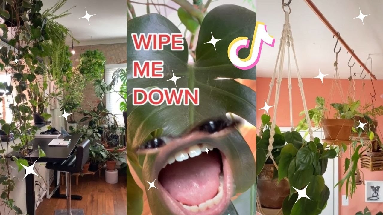 Planttok 🌱 Part 4 🌱  tiktok compilation