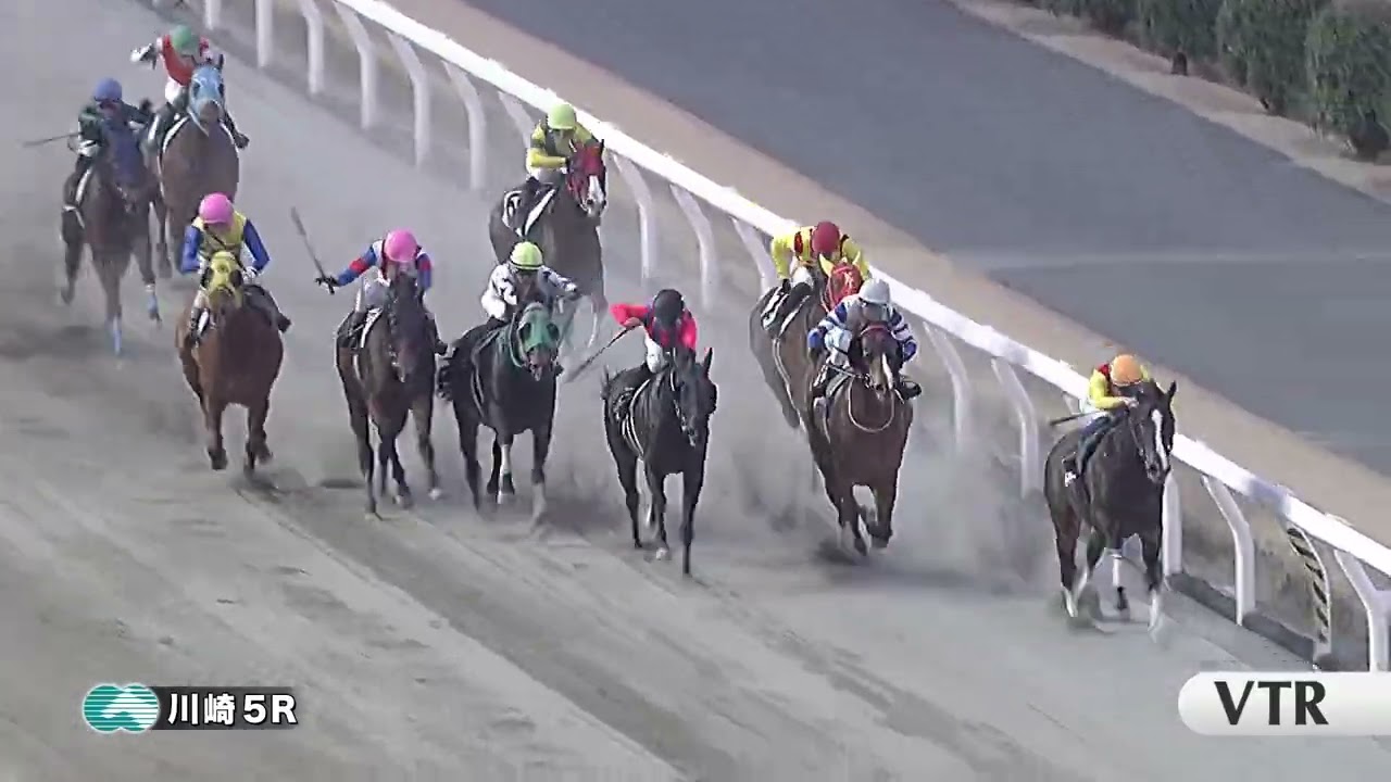 川崎競馬ダイジェスト（2026年2月5日）