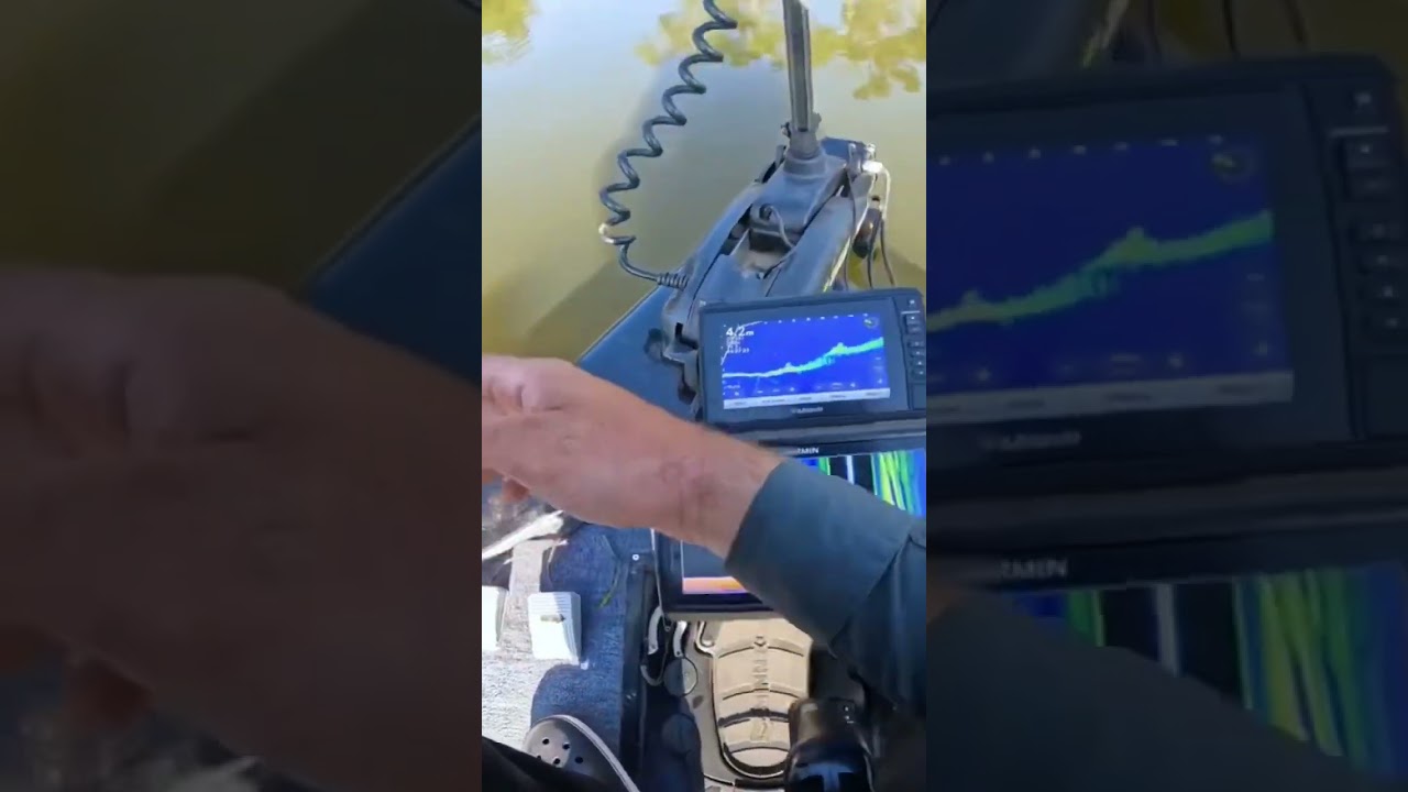 Esse sonar mostra os peixes e a isca AO VIVO 🎣#livescope #panoptix #garminlivescope