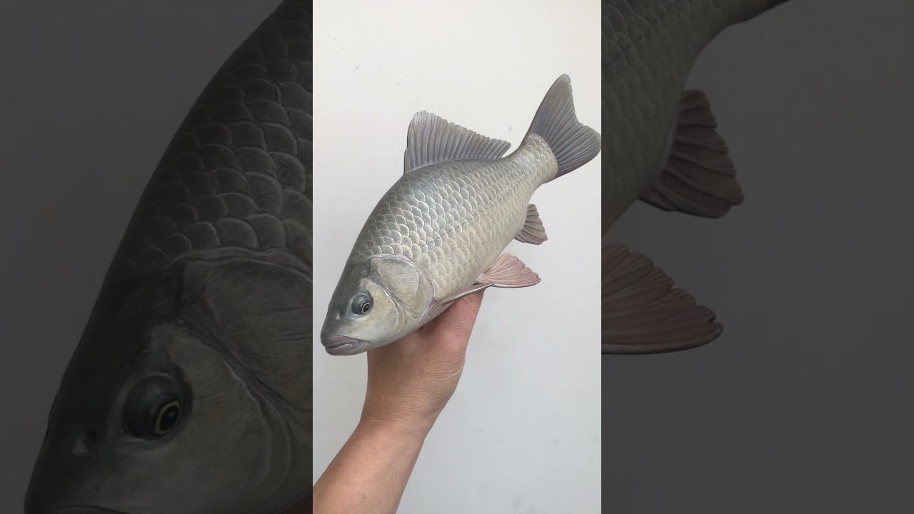 Carp Fish Carving 붕어목각