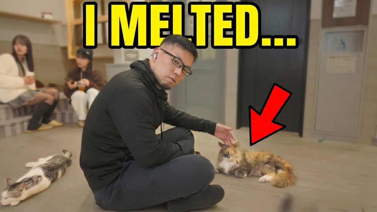 What is a Japanese Cat Cafe? An Old Dude’s Wholesome Experience 🐾｜Daily life in Kyoto🇯🇵