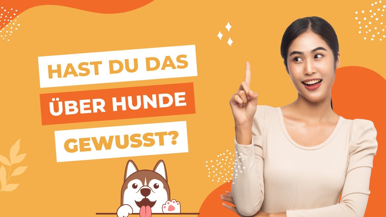 Stimmt es, dass Junghunde bei anderen Hunden 